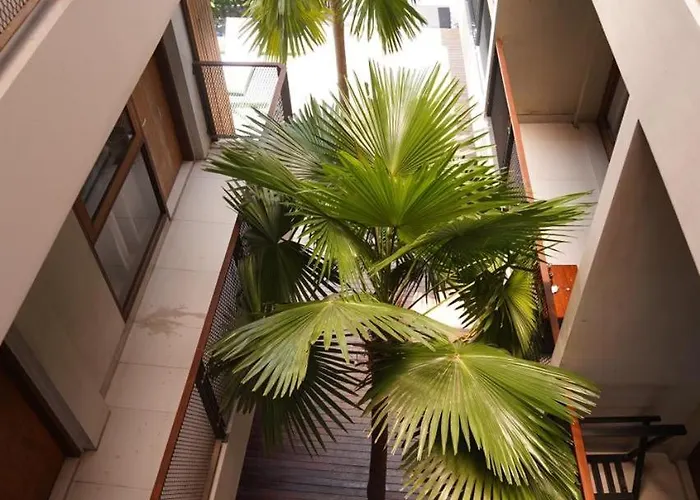 Damano Livin 3* Canggu